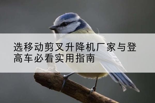 泰州电动升降机厂家-选移动剪叉升降机厂家与登高车必看实用指南