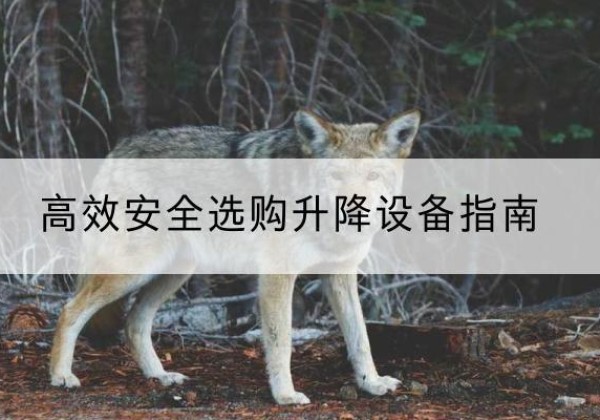 泰州升降货梯厂家推荐-*安全选购升降设备指南