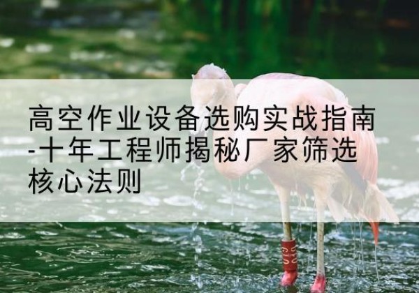 泰州剪叉式升降机厂家-高空作业设备选购实战指南-十年工程师揭秘厂家筛选核心法则